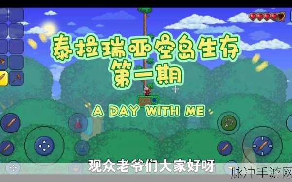 泰拉瑞亚新手指南,空岛生存前期策略全攻略