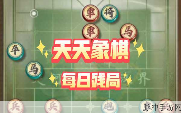 天天象棋,智慧碰撞,指尖上的棋艺盛宴