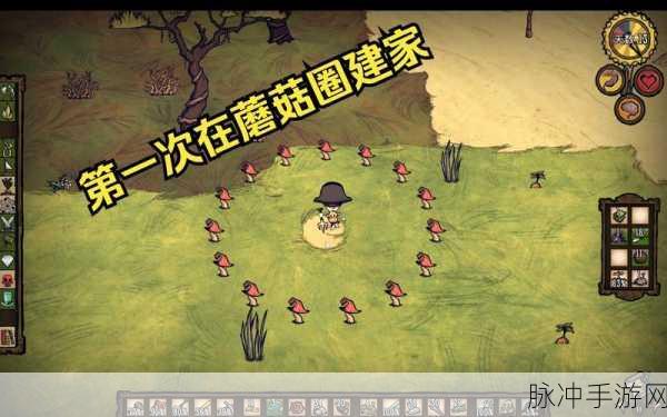 饥荒生存挑战,我的大胆壮举,拆尽蜘蛛巢的传奇之旅