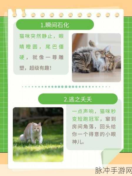 怀旧风潮再起,扫雷猫咪版带你重温经典益智时光
