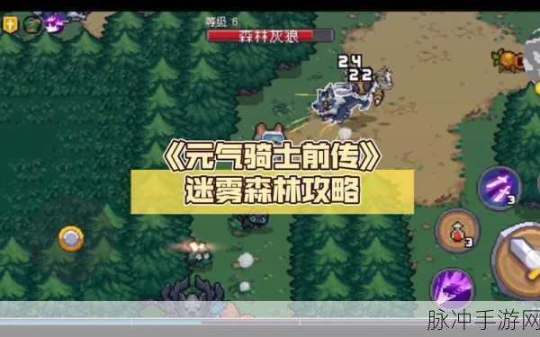 元气骑士闪退迷雾,解锁你的游戏稳定之旅