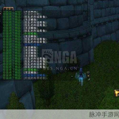 魔兽世界隐秘之鱼成就全攻略,解锁方法与技巧大揭秘