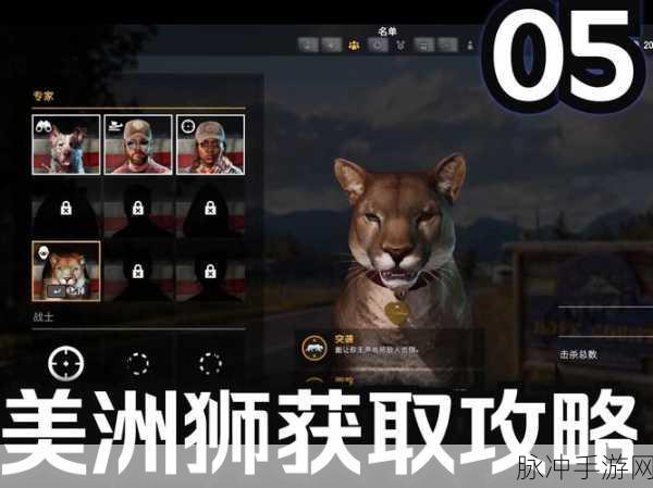 孤岛惊魂5动保处储物箱全攻略,探险与战斗的双重体验