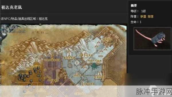 魔兽世界,揭秘祖达克老鼠的猎杀秘境