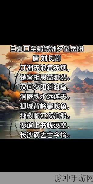 烟雨江湖探秘,长白山熊踪何处寻?