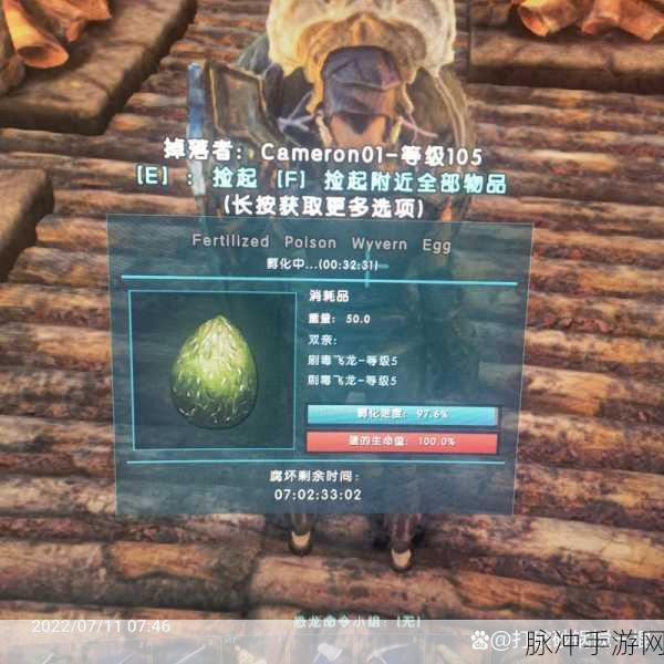 方舟岩龙蛋探寻之旅,坐标揭秘与玩法详解
