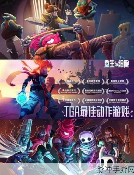 重生细胞探索之旅,揭秘前往墓地的路线与攻略
