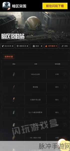 暗区突围,揭秘特殊通行证的高效用法