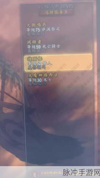 魔兽世界双采升级全攻略,解锁效率与快速成长秘籍