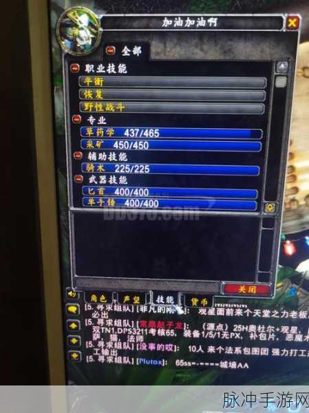 魔兽世界双采升级全攻略,解锁效率与快速成长秘籍