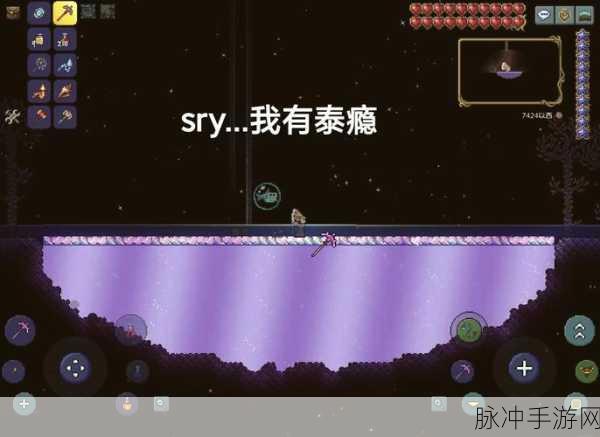 泰拉瑞亚,解锁神秘商人现身之谜