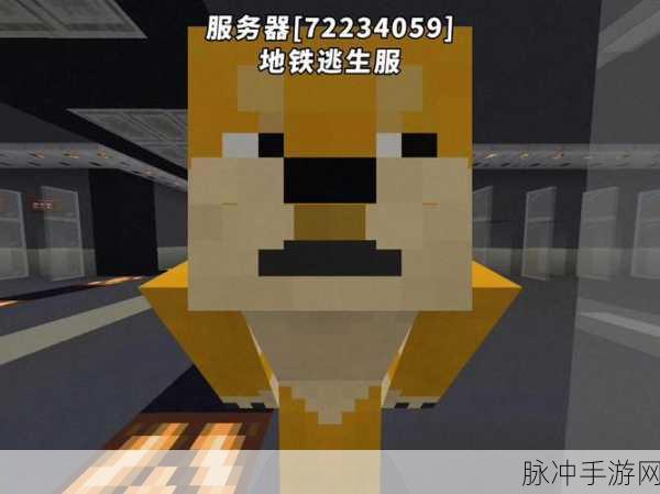 地铁逃生大揭秘,哪个服务器菜鸟最多?