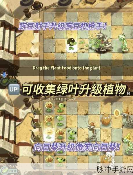 植物大战僵尸2复兴时代第23天,阳光分配策略大揭秘