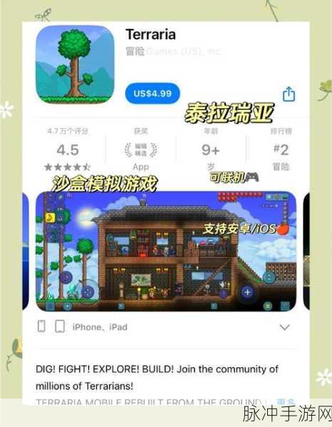泰拉瑞亚探险新篇章,揭秘神秘云瓶制作,开启你的云端之旅!