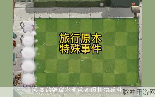 植物大战僵尸,挂件碎片的妙用与获取攻略