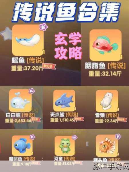 摩尔庄园钓鱼秘籍,揭秘鱼骨头的神秘钓点