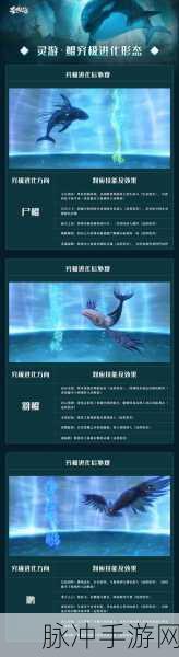 妄想山海寒冥鲲进化全攻略,解锁鲲的终极形态