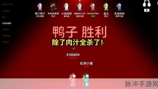 鹅鸭杀谜团,肉汁鹅身份揭秘,善恶难辨的烧脑盛宴