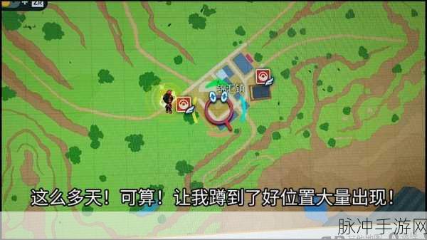 宝可梦朱紫炭小侍性格选择全攻略