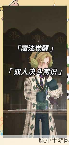 哈利波特魔法觉醒,学年挑战4全攻略与通关秘籍