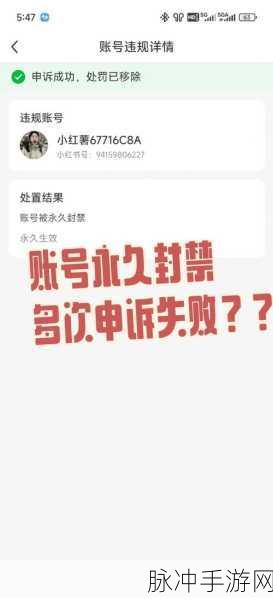王者荣耀账号被封?解封攻略大揭秘!