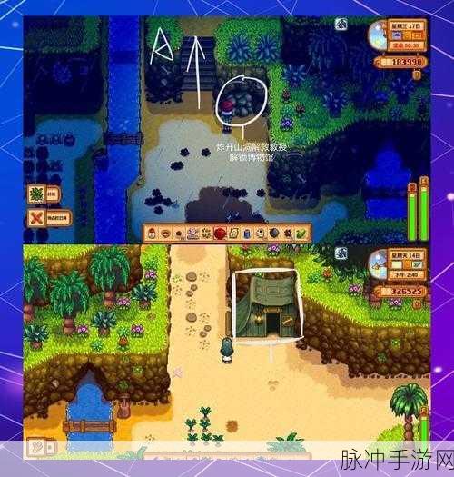 星露谷物语,姜岛北部区域金核桃全收集秘籍大公开