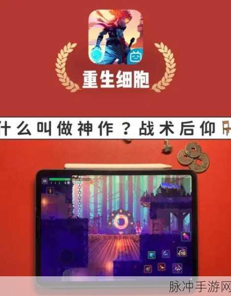 重生细胞壁垒机制深度剖析,作用、影响与实战攻略