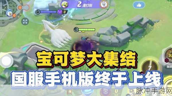 宝可梦大集结国服,深度玩法揭秘,策略技巧的完美交织