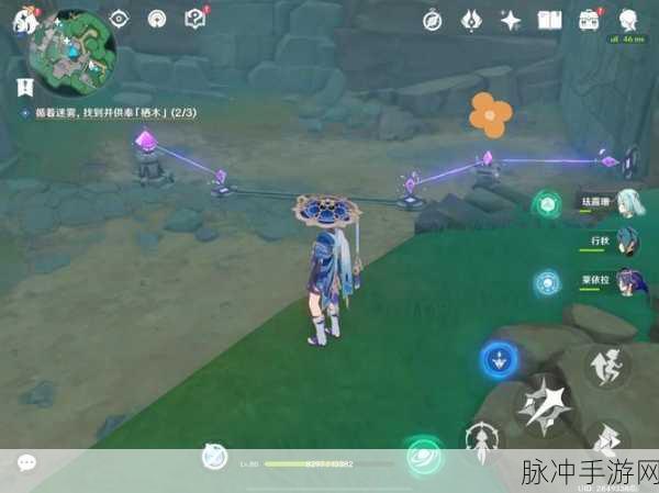 原神迷雾探索,栖木寻觅与供奉全攻略