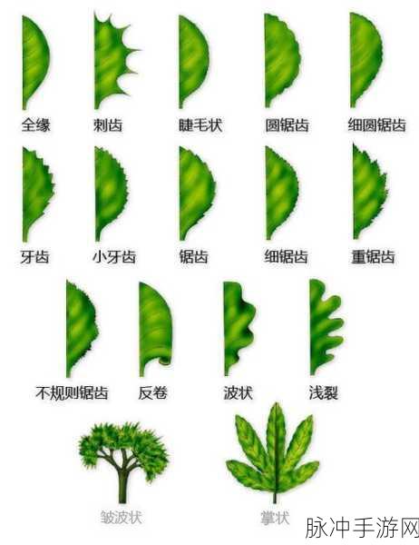 乐高无限树木种类大盘点,探索你的绿色世界