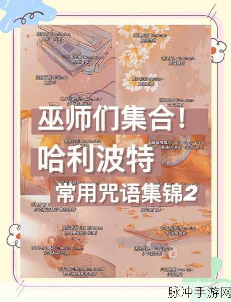探索魔法世界,哈利波特守护神咒全揭秘