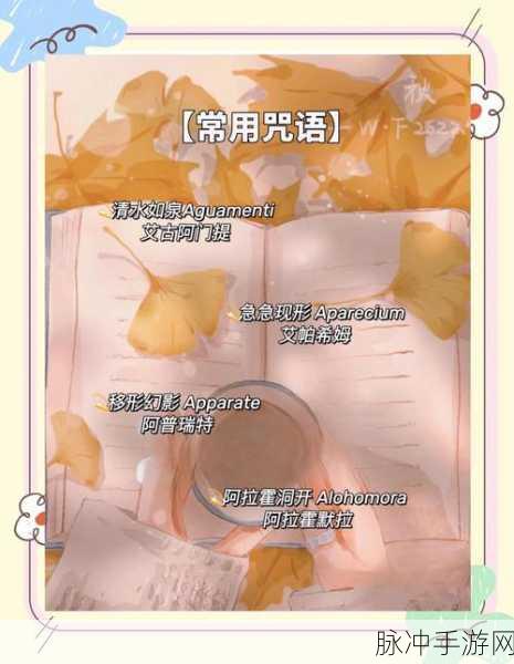 探索魔法世界,哈利波特守护神咒全揭秘