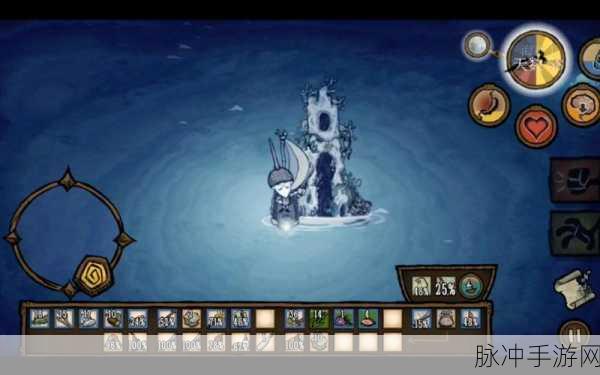 饥荒海难,揭秘海豚能否永久驯服的奥秘