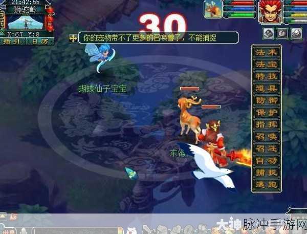 梦幻西游萌宠摄影大赛,捕捉爱宠精彩瞬间全攻略