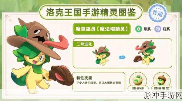 洛克王国杰诺斯海洋的果冻探险指南