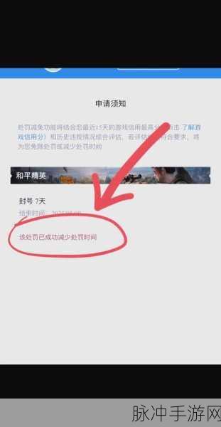 和平精英高段位局观战受限,背后的原因与策略