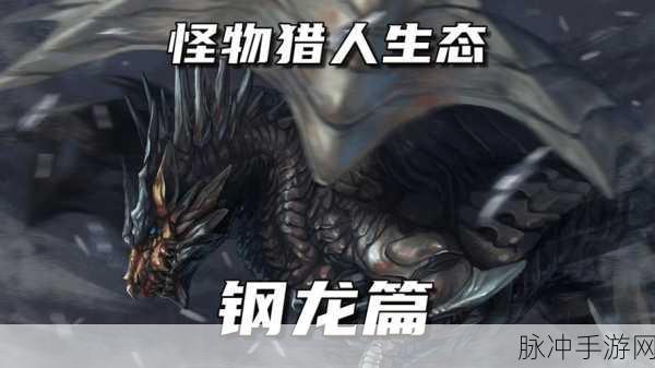 怪物猎人P2G深度探索,揭秘挑战钢龙的终极试炼