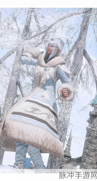 最终幻想14奇幻之旅,揭秘雪人坐骑获取秘籍,共赴冰雪盛宴!