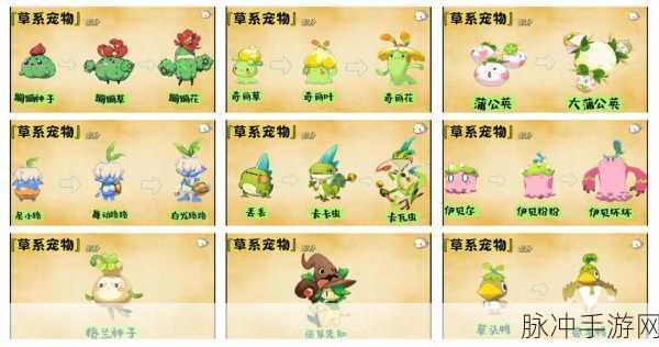 洛克王国,草王与武王实力碰撞,草系武系宠物战斗魅力全解析