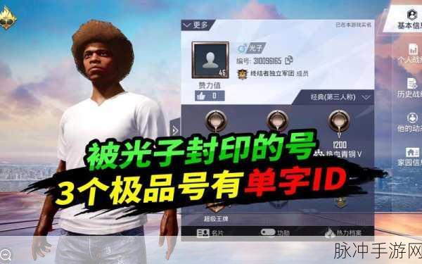 和平精英,单字ID大揭秘,独特标识让你闪耀战场!