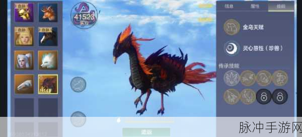 妄想山海金乌,华丽外表下的培养价值探讨