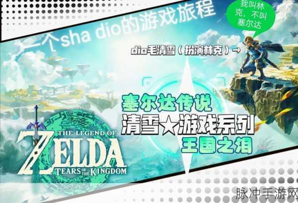 塞尔达传说,智慧之旅启航!妖精瓶子全攻略揭秘