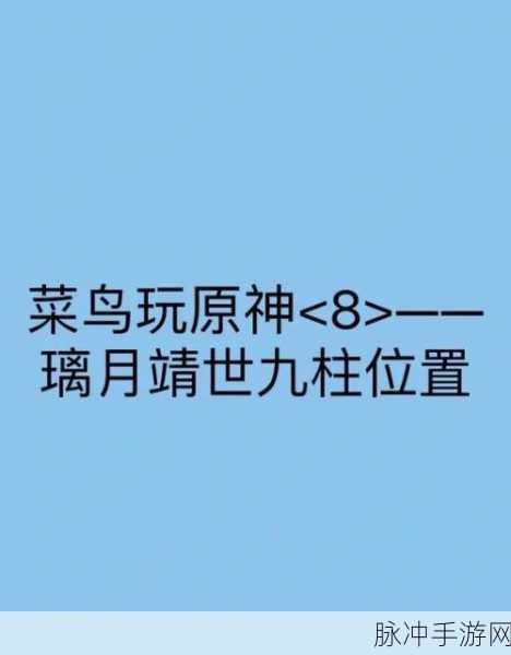 揭秘原神靖世九柱任务,终极攻略助你找到最后一个石柱