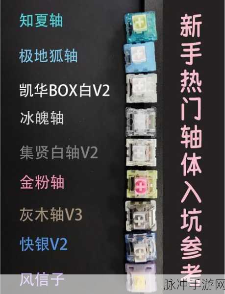 格斗游戏高手必备,揭秘拳皇97等游戏适用的键盘轴体