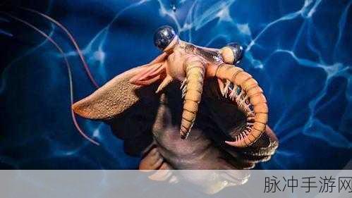 最强蜗牛军舰图纸大揭秘,解锁海洋霸主的终极征途