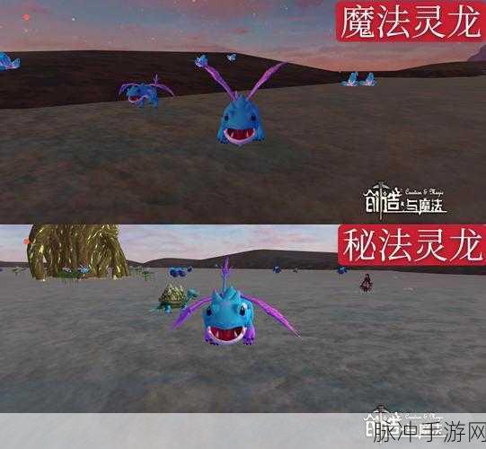 创造与魔法BOSS坐骑探寻之旅,解锁霸气坐骑的奥秘