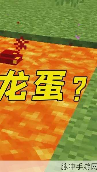 手机版我的世界,揭秘龙蛋孵化瞬移之谜