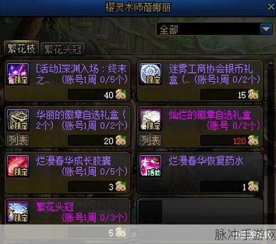 DNF华丽徽章套装礼盒,选择攻略与开箱揭秘