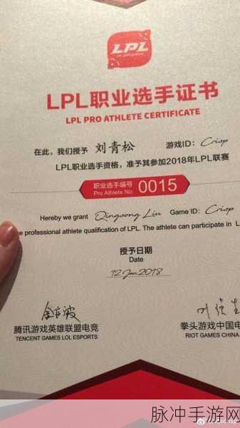 LPL职业选手编号全揭秘,编号背后的荣耀与梦想
