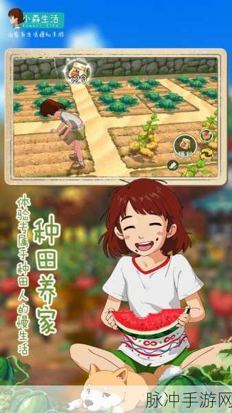 小森生活朝晖森林,资源点全新探索指南